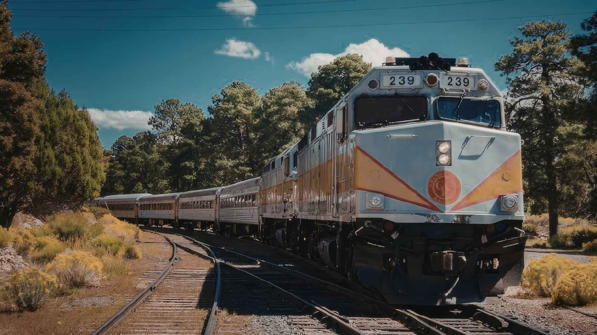 Railroad accident injuries may change your life, but you still have your rights. Call Joe today.