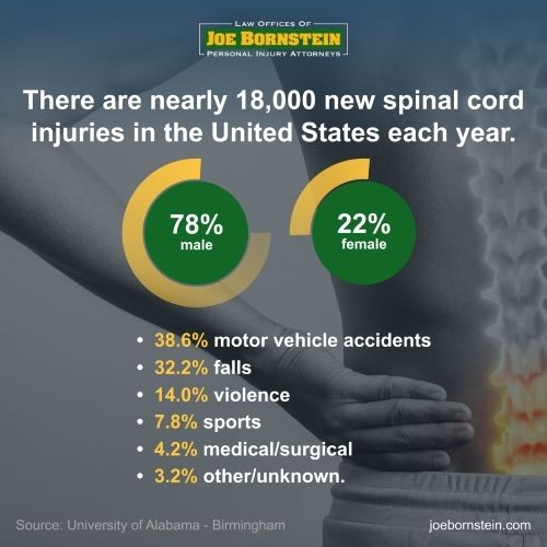 spinal cord injuries percentages