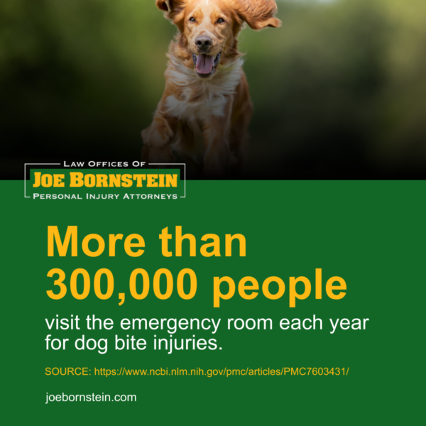 More than 300,000 people visit the emergency room each year for dog bite injuries. (Source: National Center for Biotechnology Information).
