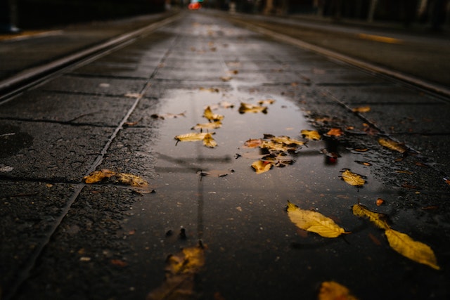 Wet leaves can make the roads slick in fall.